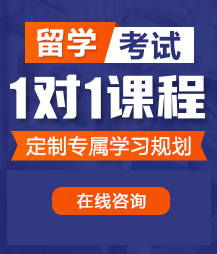 肏屄的网站留学考试一对一精品课